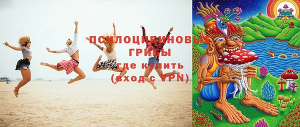 МДПВ Алексеевка