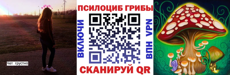 OMG как зайти  где можно купить наркотик  Сенгилей  Галлюциногенные грибы ЛСД 